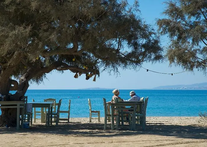 Naxos Rock Villas Hotel *